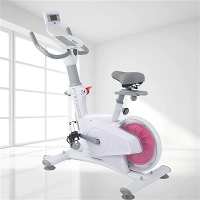 Exercise Bike With Smart Screen