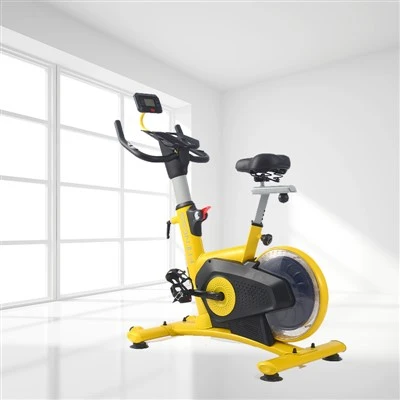 Flywheel Stationary Bike