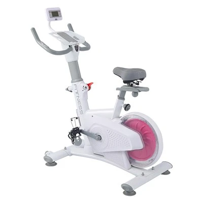 Magnetic Drive Exercise Bike