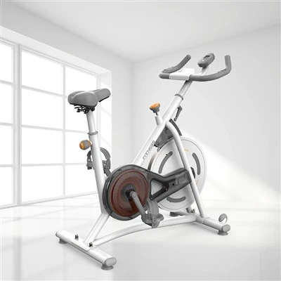 Magnetic Flywheel Bike