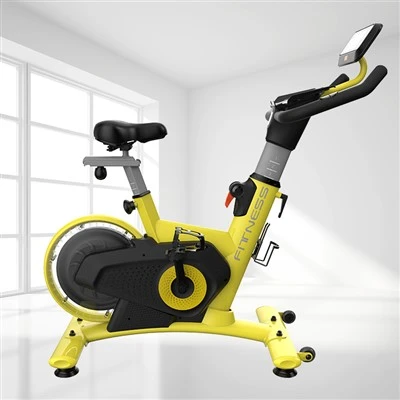 Stationary Bike in Gym