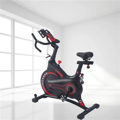Stationary Gym Bike